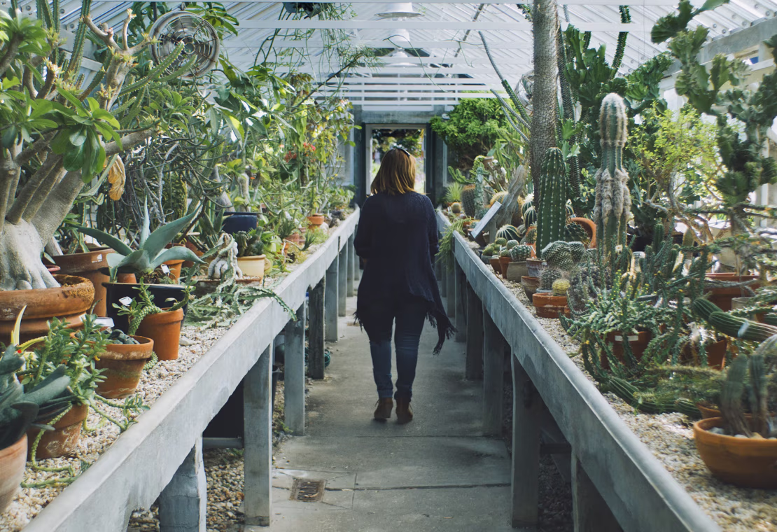 Las pequeñas empresas necesitan mucho apoyo crediticio