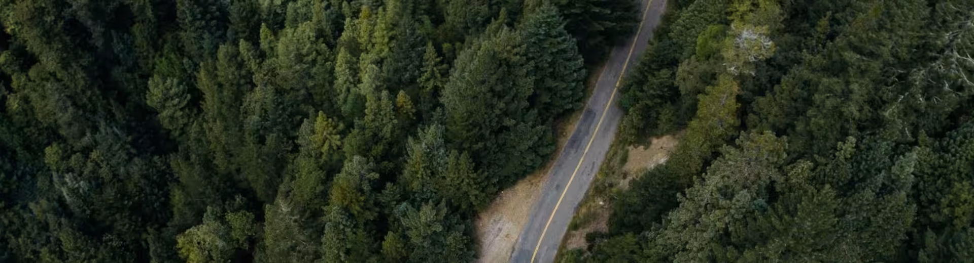 Operaciones locales, presencia global